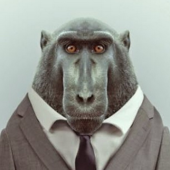 Meet your Posher, Neilesh - Picture 1 of 3